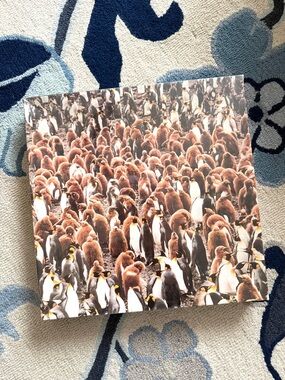 Vintage Nordevco Puzzle "Which Way To The Water?" 600 pieces 18"x24" Penguins